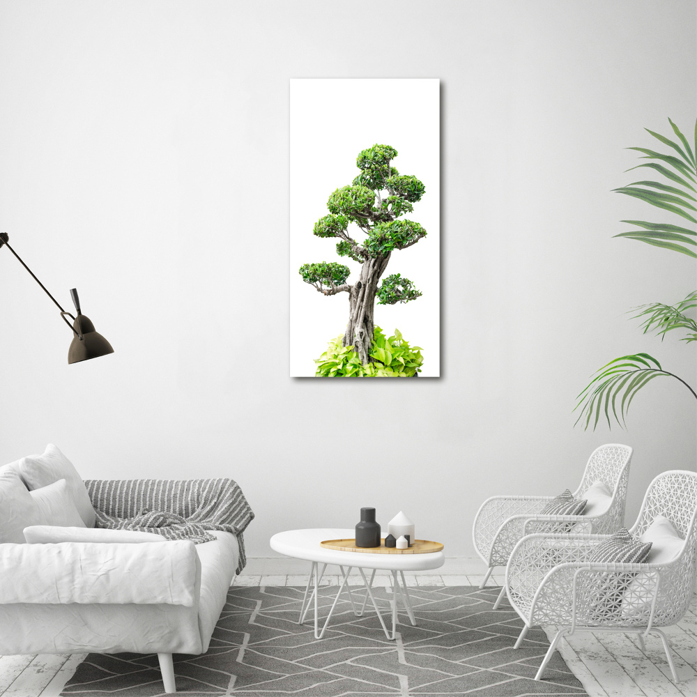 Tablou sticlă acrilică copac bonsai