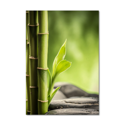 Tablou pe sticlă acrilică Bambus