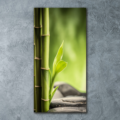 Tablou pe sticlă acrilică Bambus