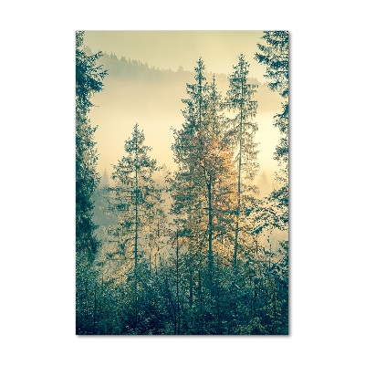 Tablou pe acril Ceață peste pădure