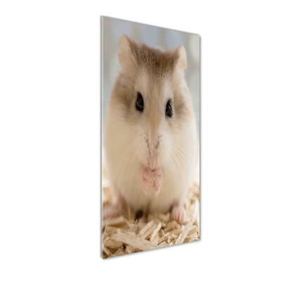 Tablou pe sticlă acrilică Hamster