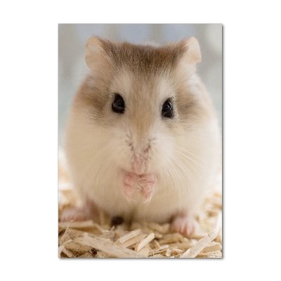 Tablou pe sticlă acrilică Hamster