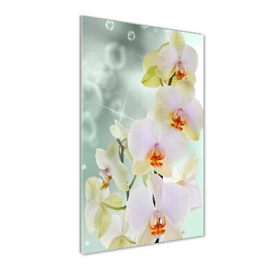 Tablou acrilic Orhidee