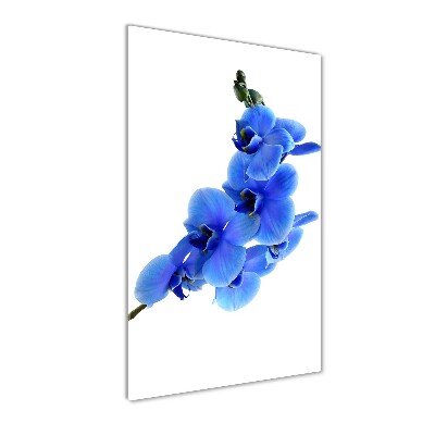Tablou acrilic albastru orhidee