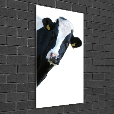 Tablou pe acril vacă de culoare pluricolori
