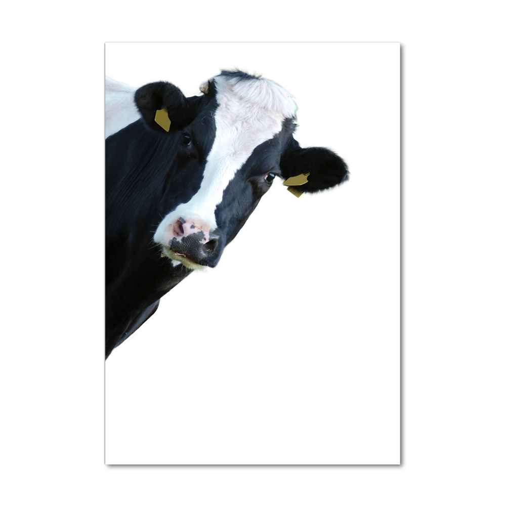 Tablou pe acril vacă de culoare pluricolori