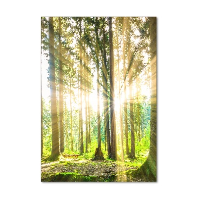 Pictura pe sticlă acrilică Soare în pădure