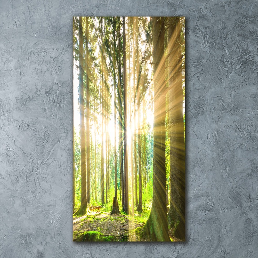 Pictura pe sticlă acrilică Soare în pădure
