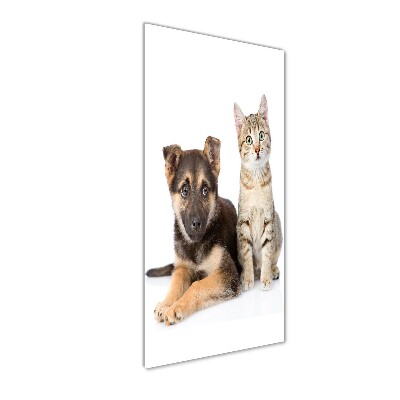 Tablou pe sticlă acrilică Câine și pisică