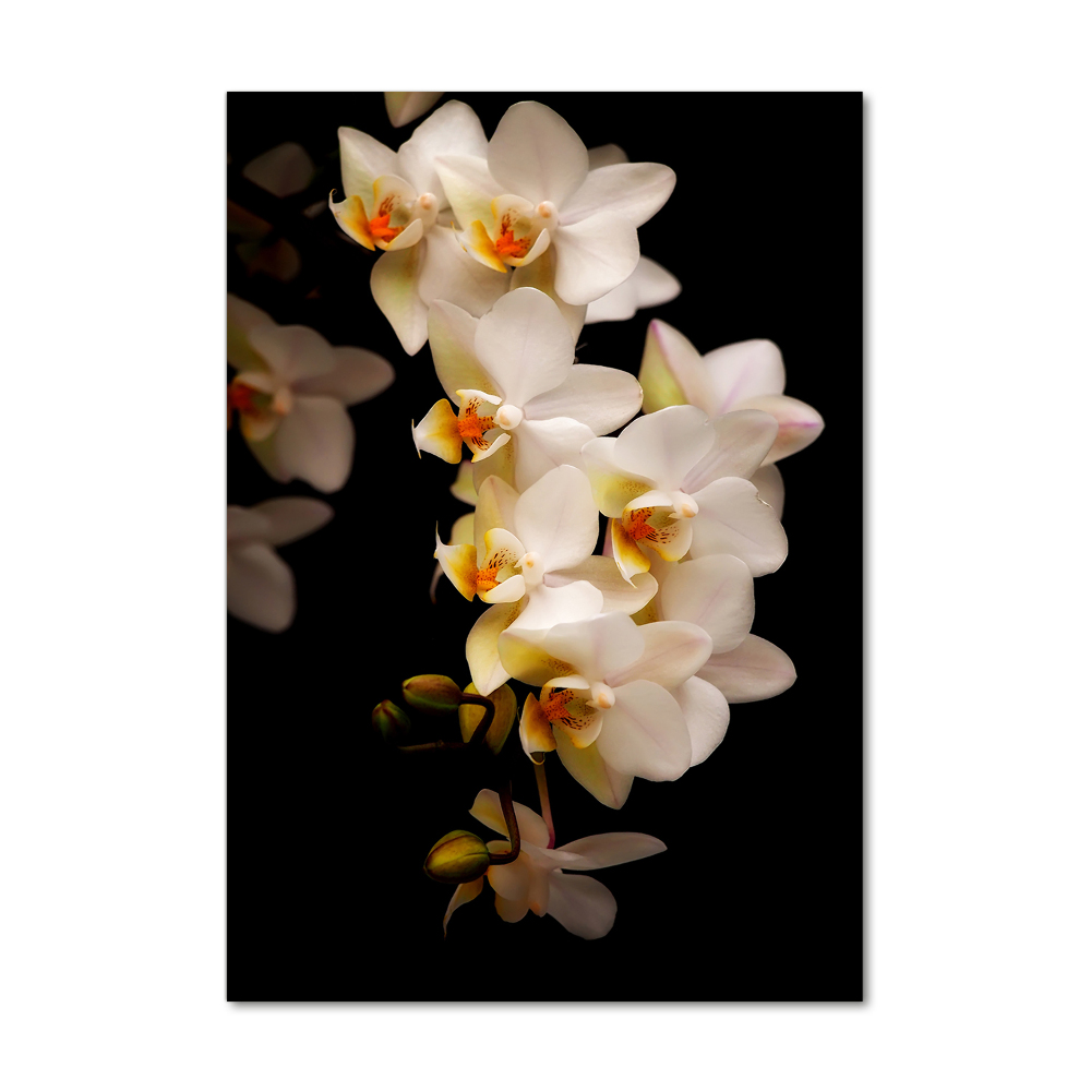 Tablou acrilic Orhidee