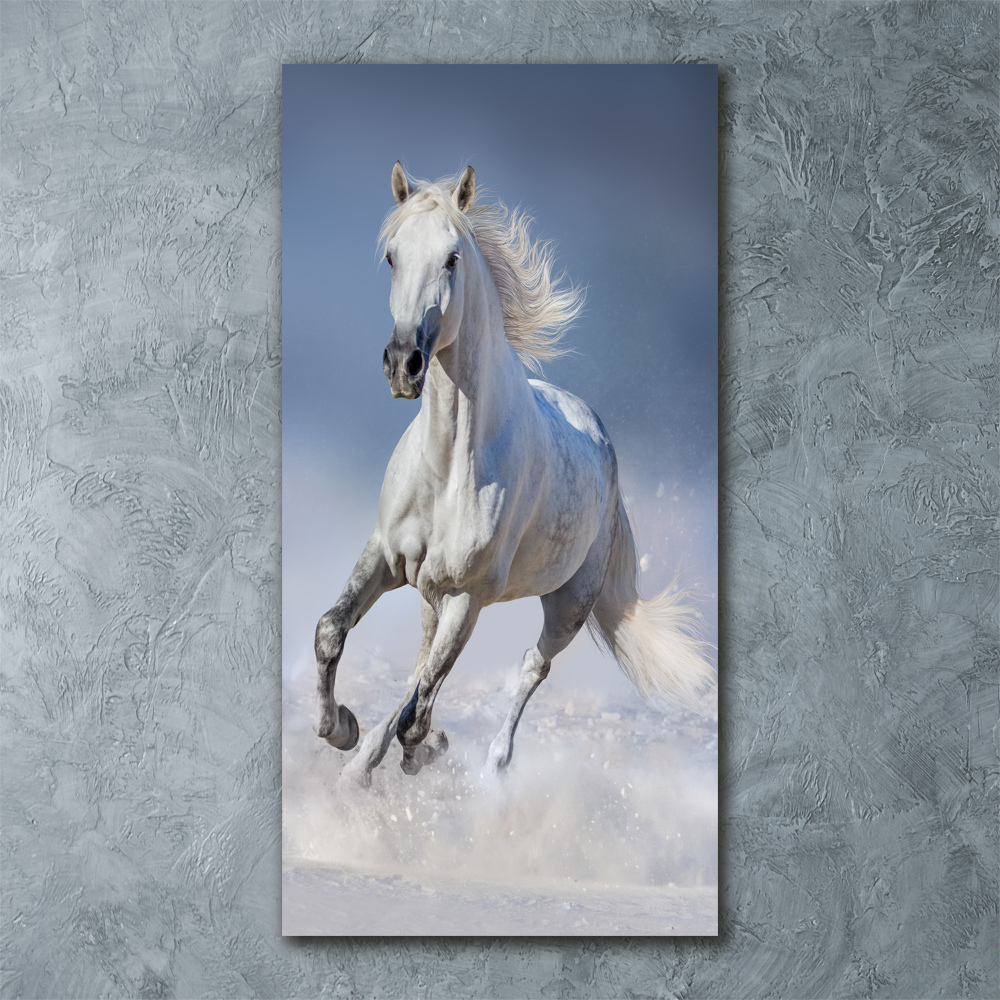 Tablou sticlă acrilică cal alb în galop