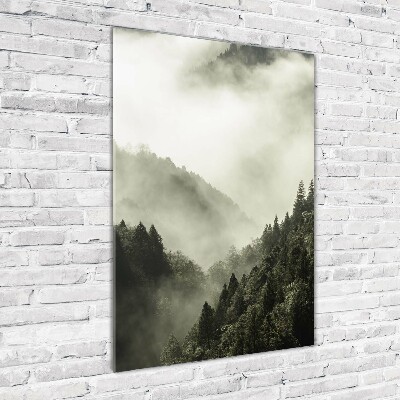 Pictura pe sticlă acrilică Ceață peste pădure