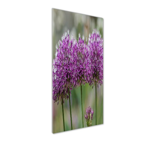 Tablou acrilic flori de usturoi