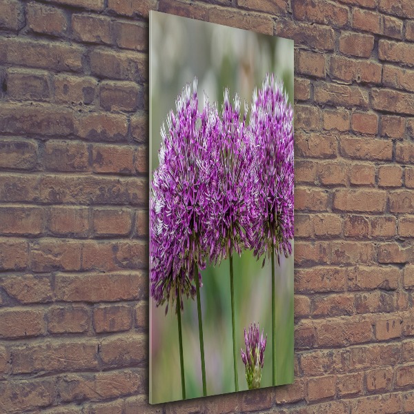 Tablou acrilic flori de usturoi