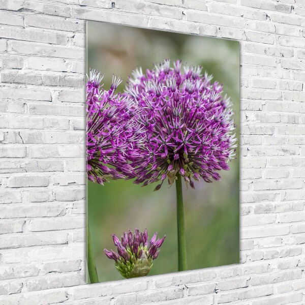 Tablou acrilic flori de usturoi
