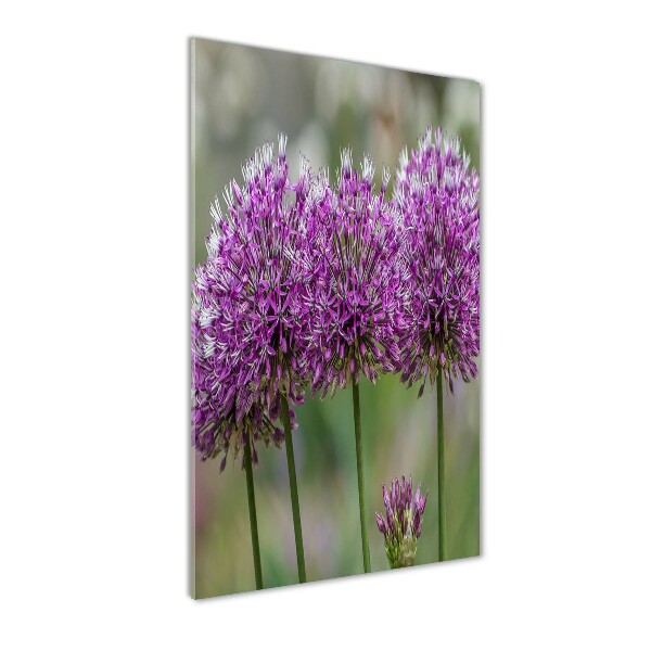 Tablou acrilic flori de usturoi