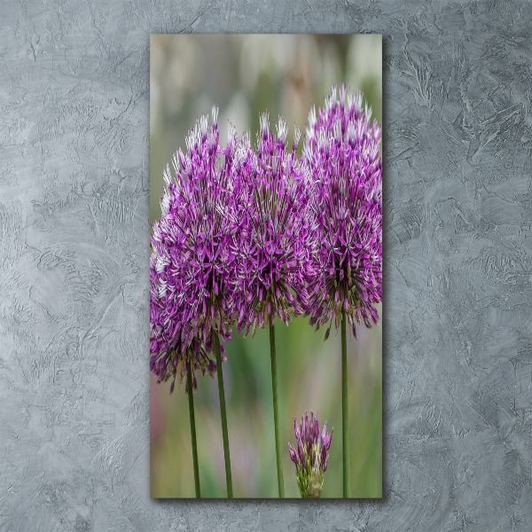 Tablou acrilic flori de usturoi