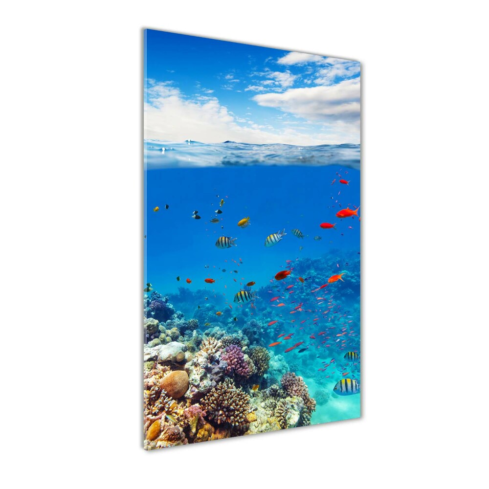 Tablou sticlă acrilică recif de corali