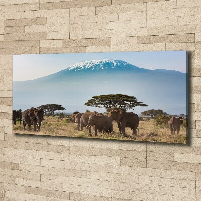 Tablou canvas elefanți Kilimanjaro