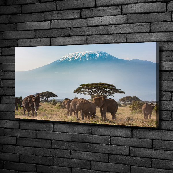 Tablou canvas elefanți Kilimanjaro