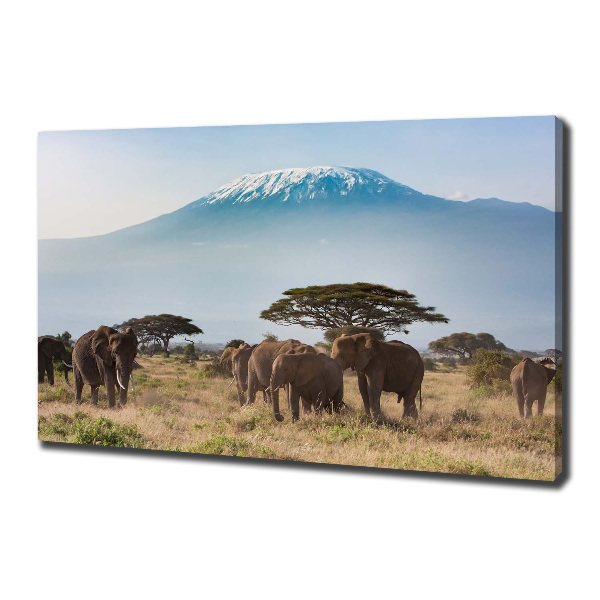 Tablou canvas elefanți Kilimanjaro