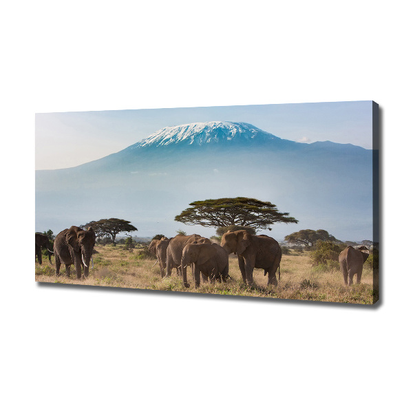 Tablou canvas elefanți Kilimanjaro