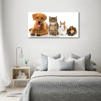 Print pe canvas Câine și pisică