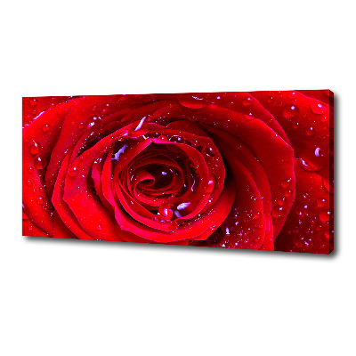 Tablou canvas Trandafir