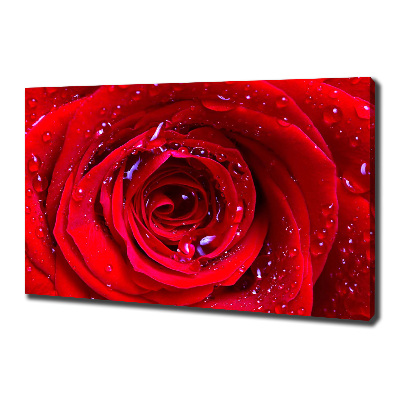 Tablou canvas Trandafir