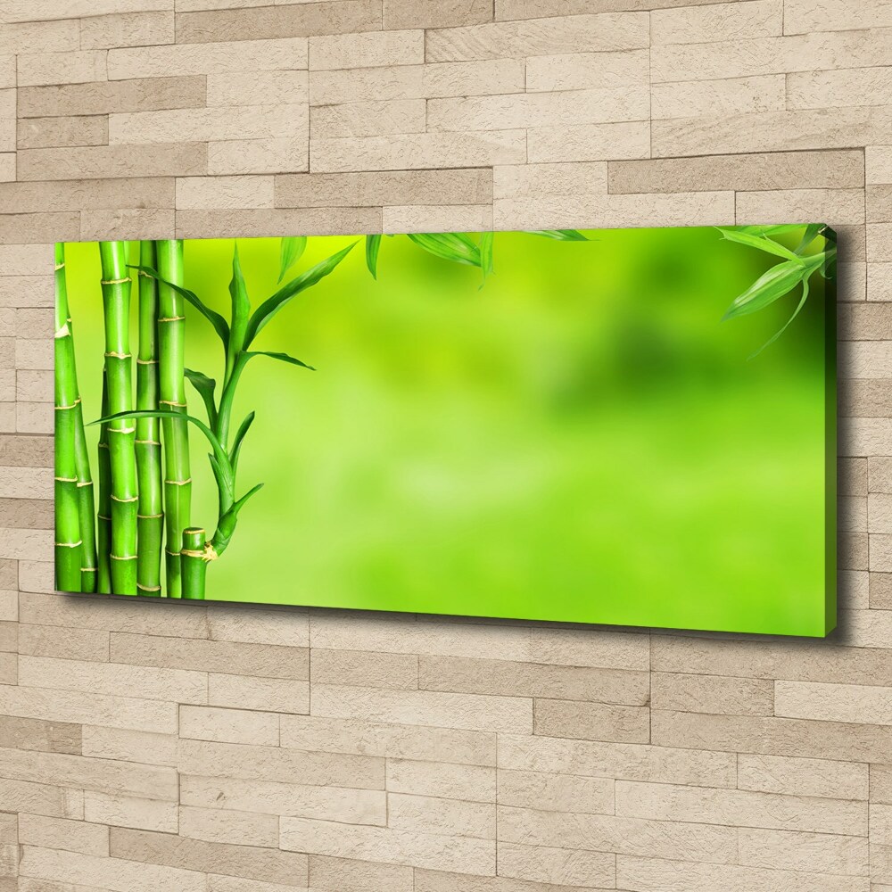 Imprimare tablou canvas Bambus