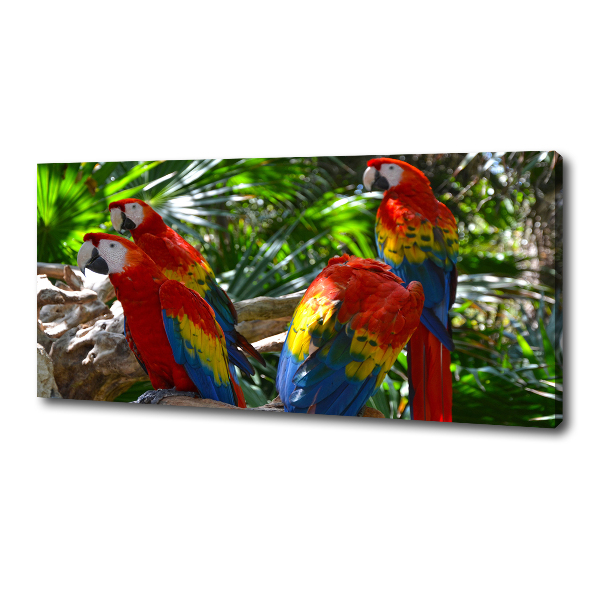 Print pe pânză papagali Macaws