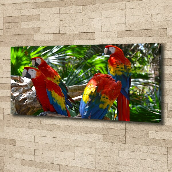 Print pe pânză papagali Macaws