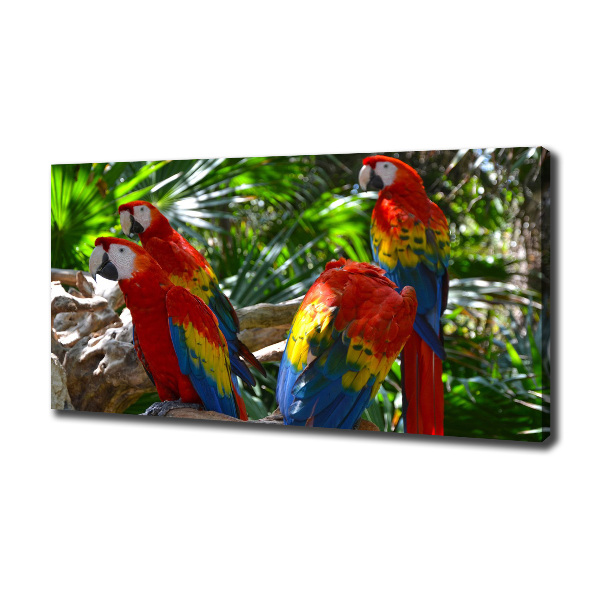 Print pe pânză papagali Macaws