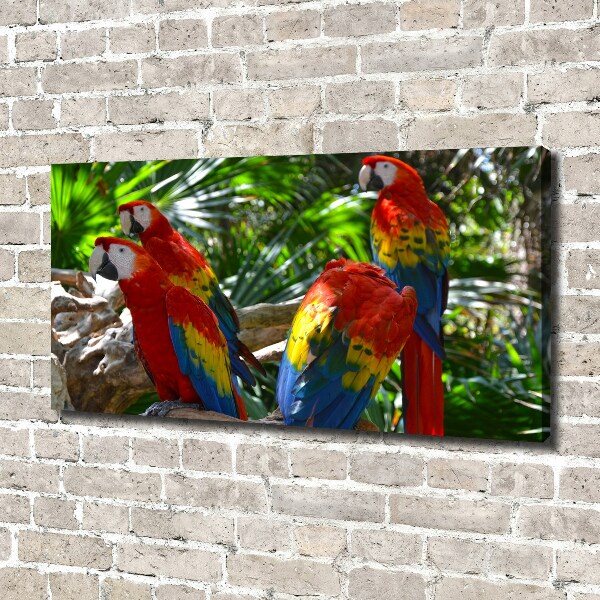 Print pe pânză papagali Macaws