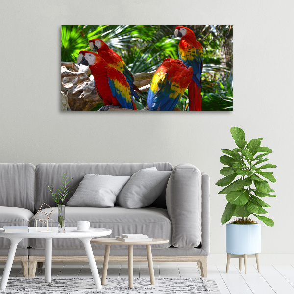 Print pe pânză papagali Macaws