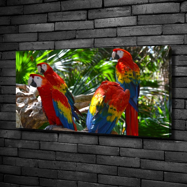 Print pe pânză papagali Macaws