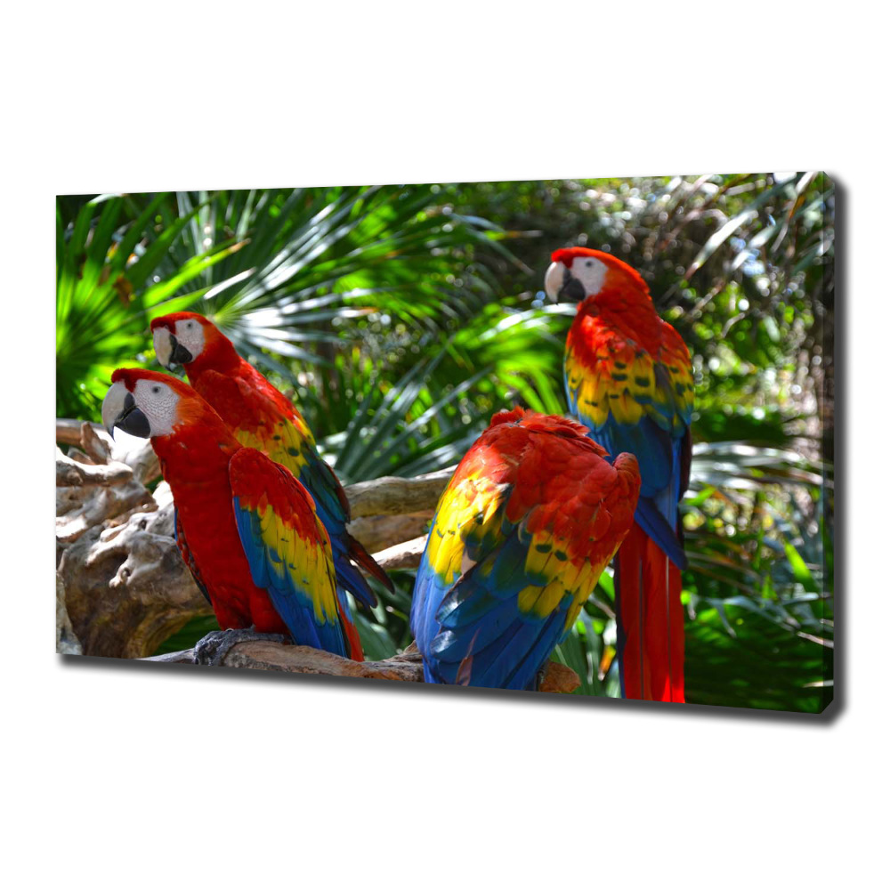Print pe pânză papagali Macaws