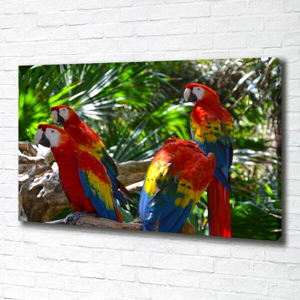 Print pe pânză papagali Macaws