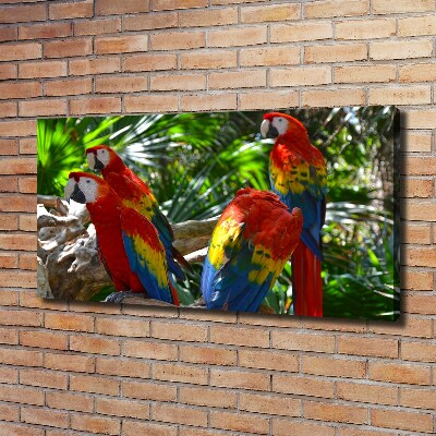 Print pe pânză papagali Macaws
