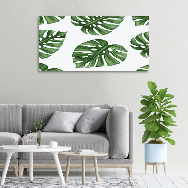 Tablou pe pânză canvas Monstera