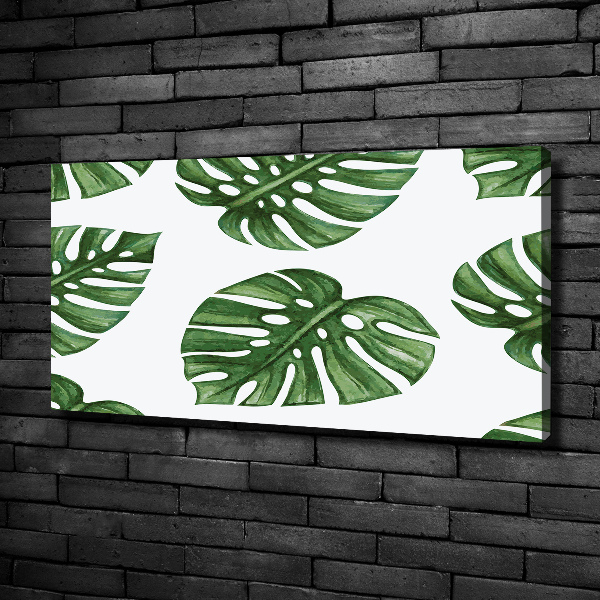 Tablou pe pânză canvas Monstera