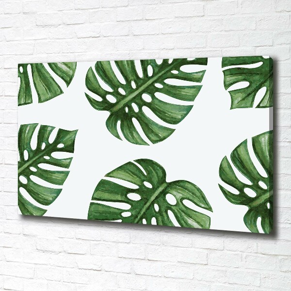 Tablou pe pânză canvas Monstera