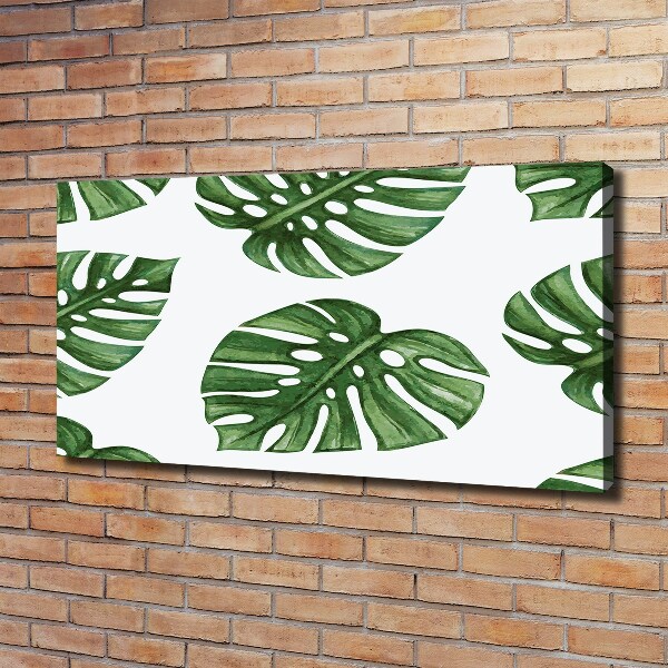 Tablou pe pânză canvas Monstera