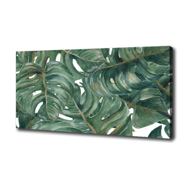 Tablou canvas Monstera