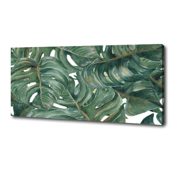 Tablou canvas Monstera