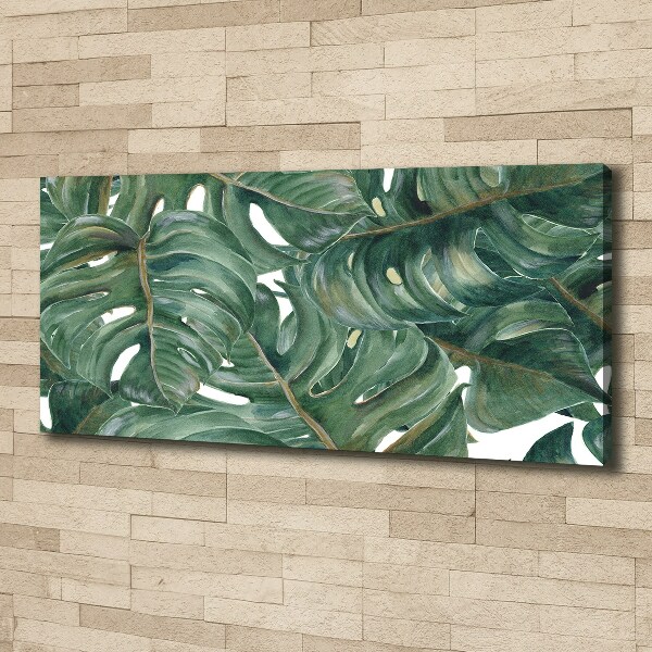 Tablou canvas Monstera