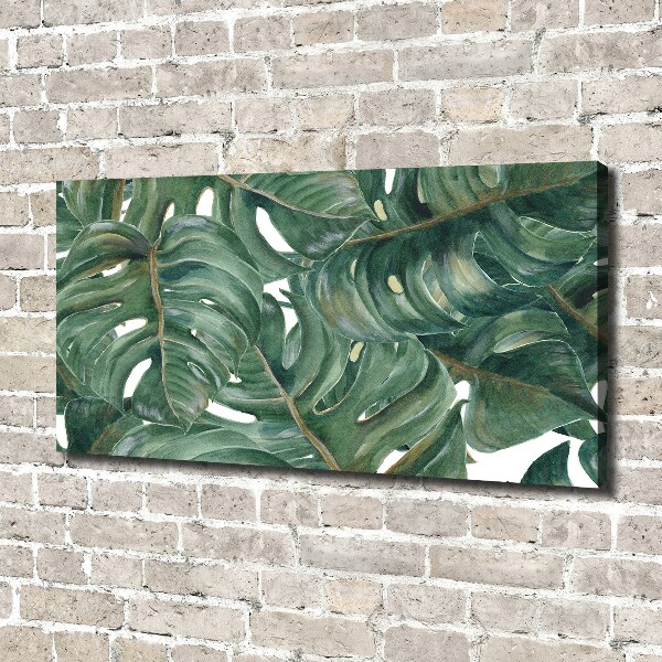 Tablou canvas Monstera