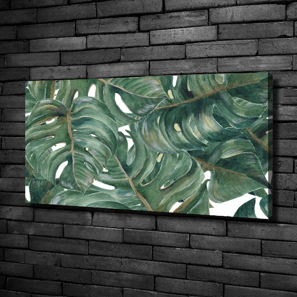 Tablou canvas Monstera