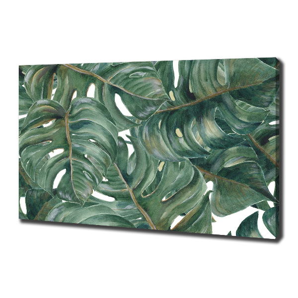 Tablou canvas Monstera