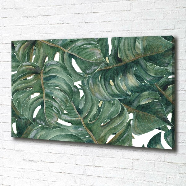 Tablou canvas Monstera